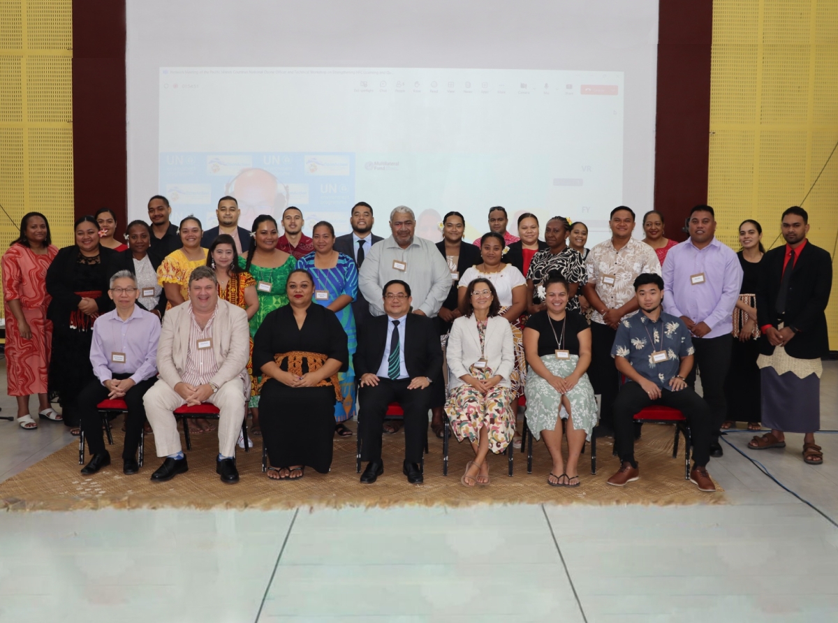 IIEC Shares Regional Cooling Experience at Pacific Network Meeting