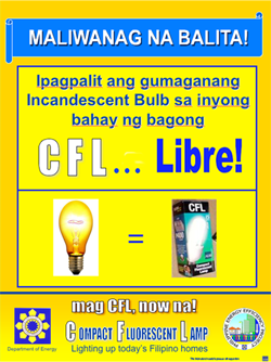 PEEP's CFL Campaign